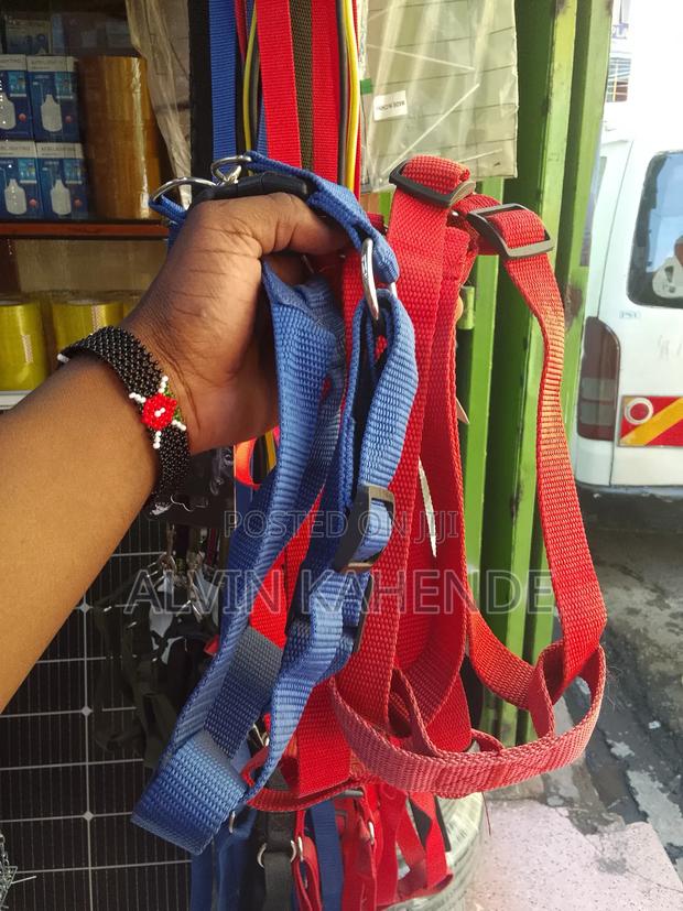 Dog Leash and Collar - thumbnail 6