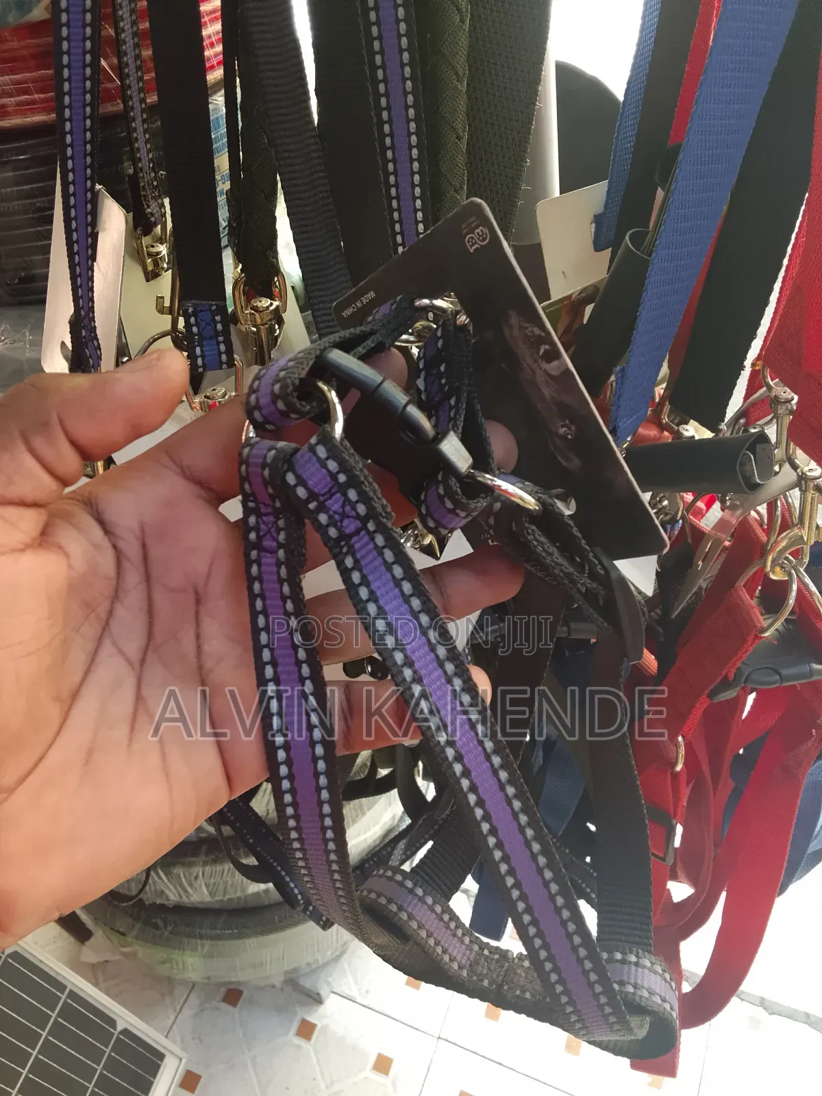 Dog Leash and Collar