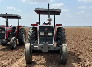2022 Agriculture Tractor Massey Ferguson Mf375