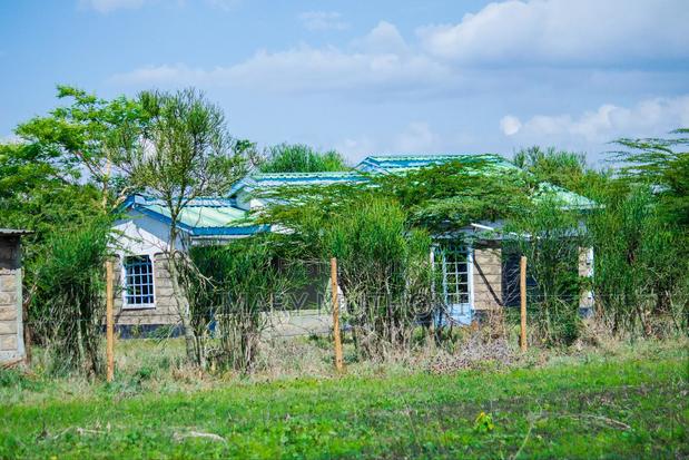 Komahill -Along Kangundo Road - thumbnail 11