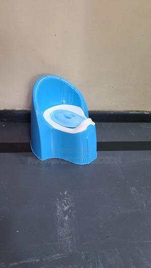 Baby Pro-Potty Seat.