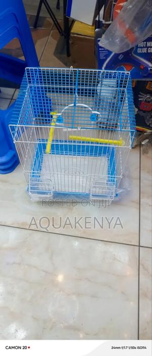 Budgies and Lovebirds Cages,Cages - main view