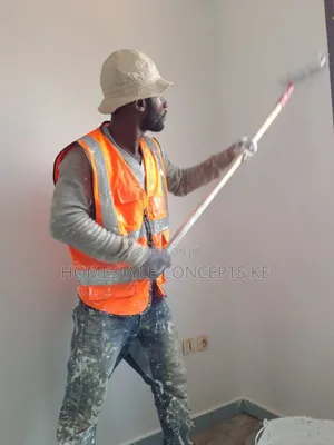 Wall Master Skimming Paint Painting Interior Exterior