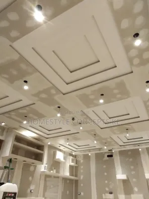 Wall Master Skimming Paint Painting Interior Exterior