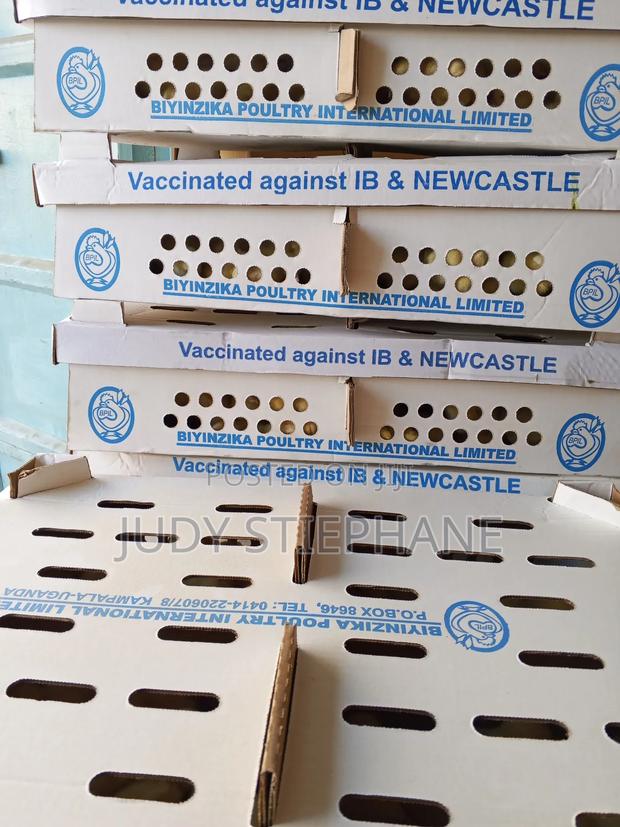 Agribusiness - main view