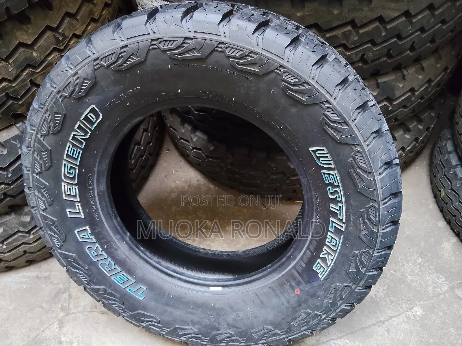 265/70r17 Westlake Tyre (Terra Legend) All-terrein