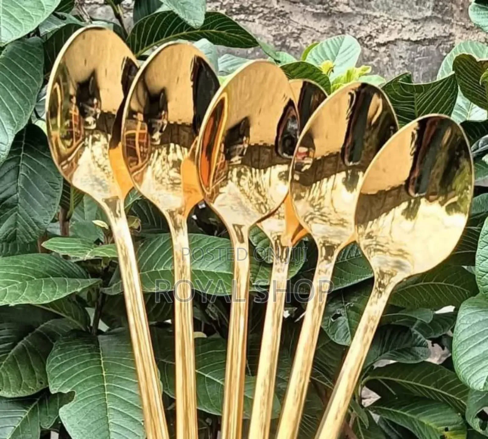 Gold Spoon 6pcs