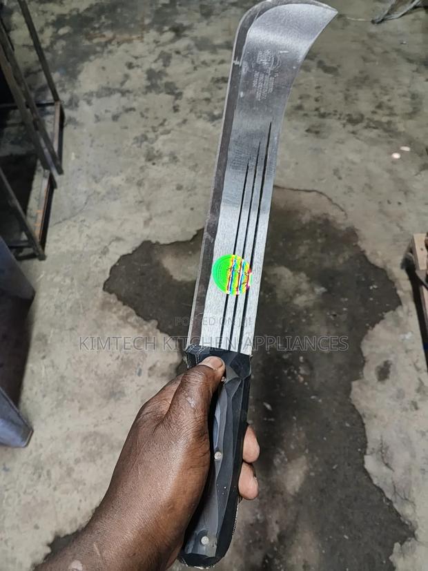 Curved Panga - main view