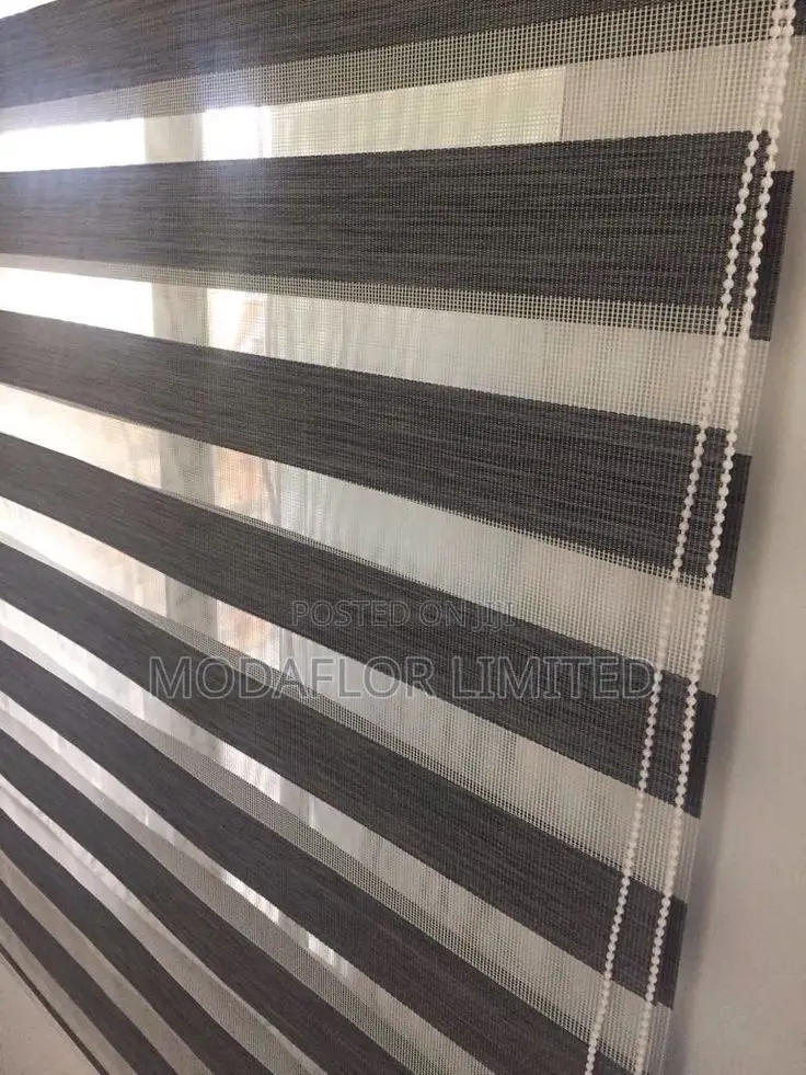 Zebra Roller Blinds – Smart Day Night Control