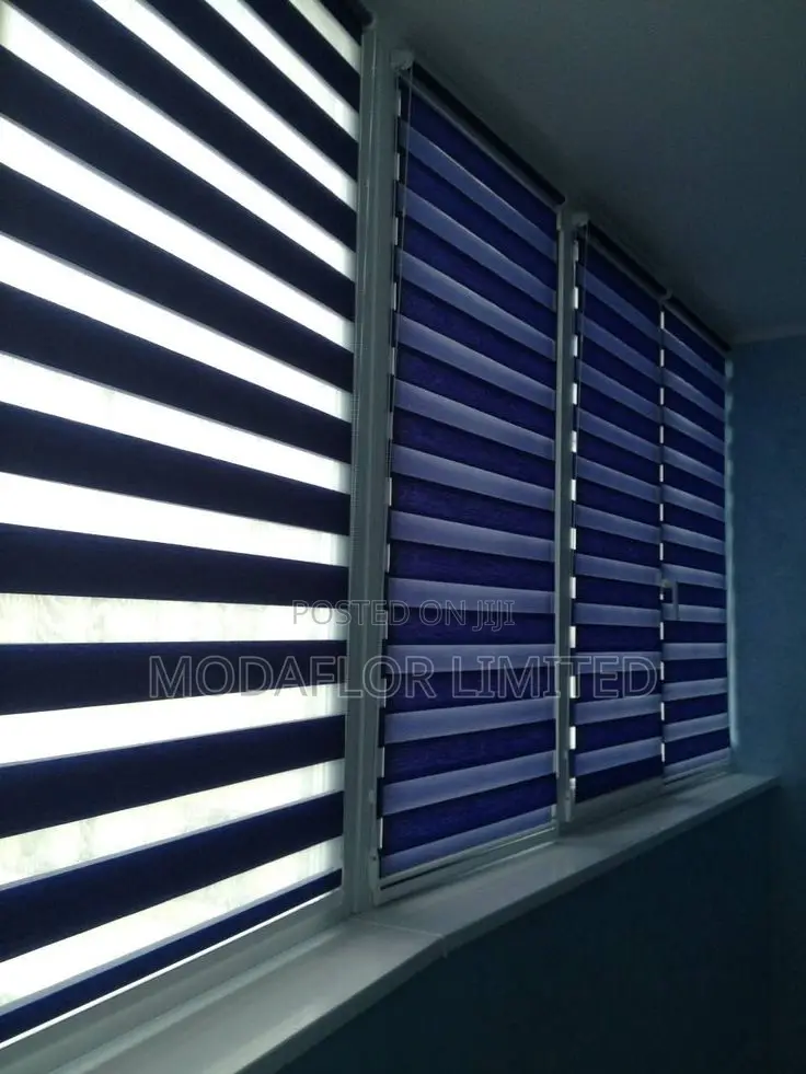 Zebra Roller Blinds – Modern Window Styling