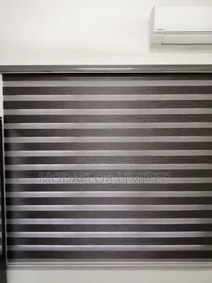 Zebra Roller Blinds – Light Control With Elegance