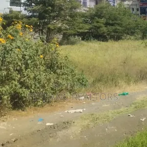 Plot for Sale in Kahawa Wendani With Aborehole at 14m