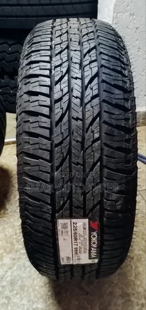 225/60r17 Yokohama at Geolander