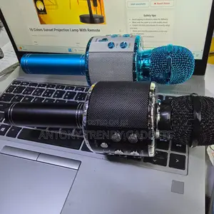 Ws-858l Wireless KTV Mic Speaker With Disco Lights