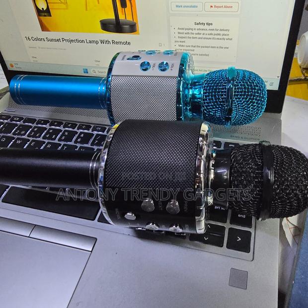 Portable Karaoke Microphone Bluetooth Speaker - main view