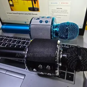 Portable Karaoke Microphone Bluetooth Speaker