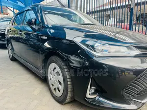 Toyota Corolla Fielder 2019 Black