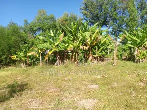 One Acre Behind Airstrip