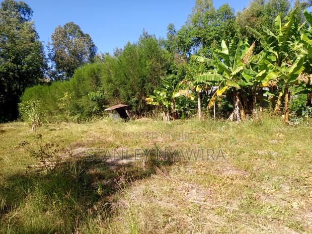 One Acre Behind Airstrip - thumbnail 2