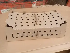 Day Old Chick Boxes