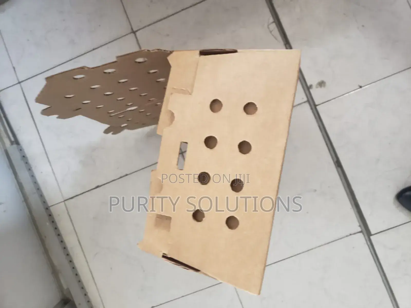 Day Old Chick Boxes