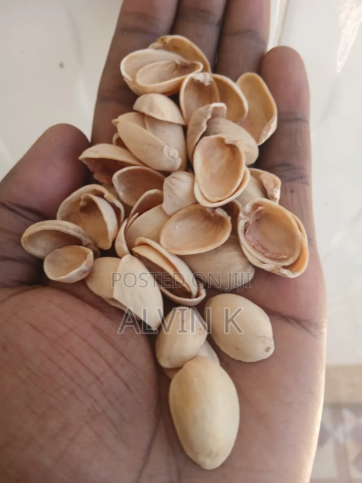 Pistachio Shells