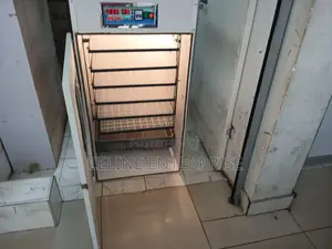 Electric Egg Incubator
Automatic Egg Turning System