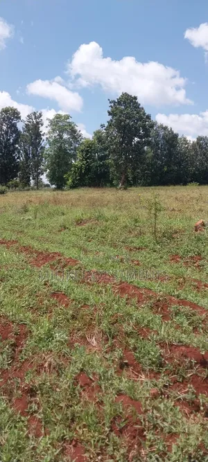 8 Acres on Sale at Makatuno-Sagana