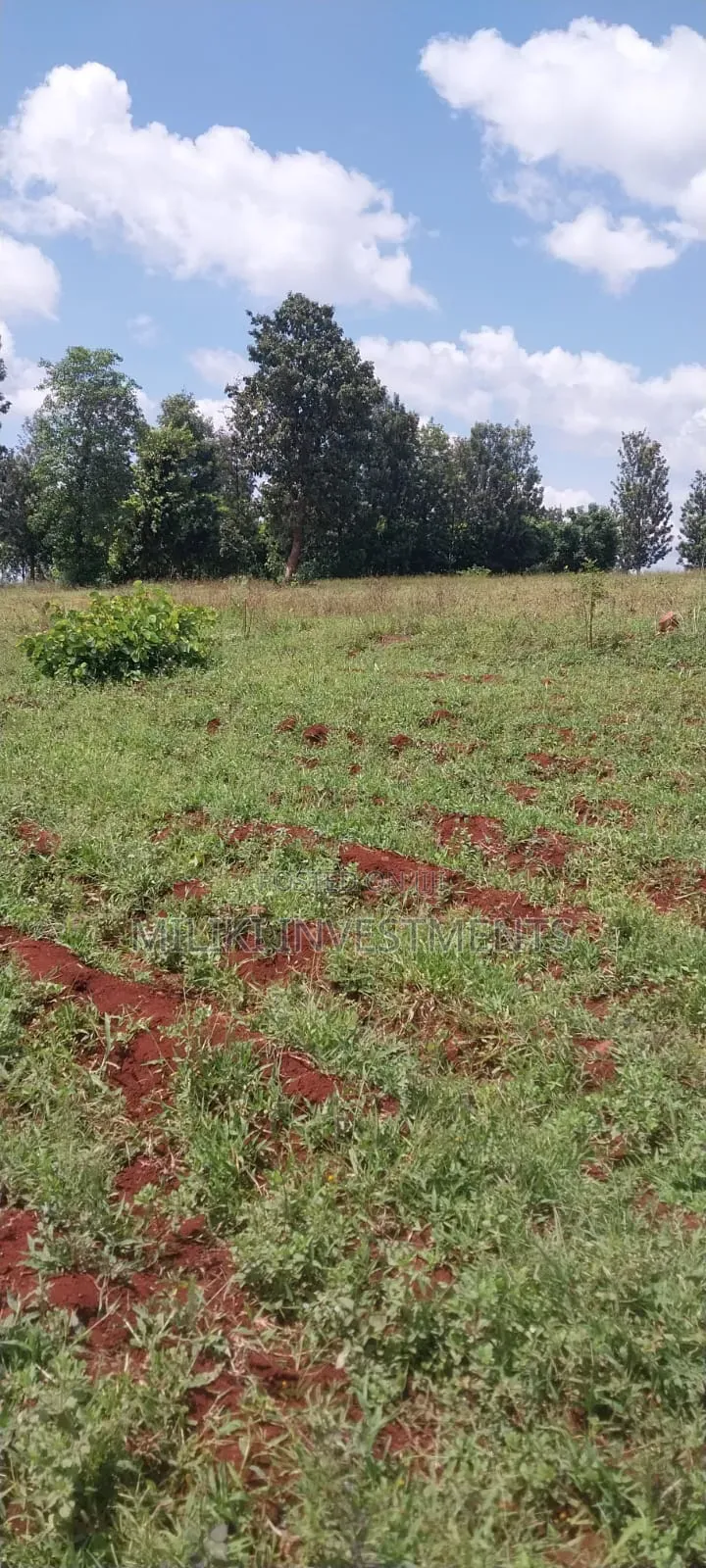 8 Acres on Sale at Makatuno-Sagana