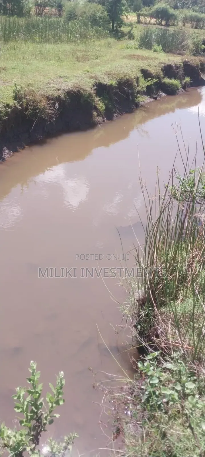8 Acres on Sale at Makatuno-Sagana