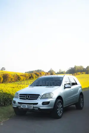 Mercedes-Benz M Class 2006 Silver