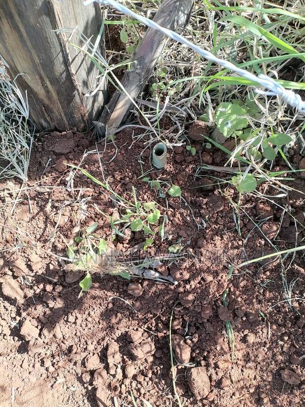 50*100 Plot for Sale Thigio -Ready Title Deed - thumbnail 2