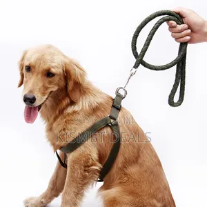 Dog Leash / Harness With Collar