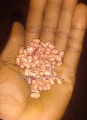 Cereals and Grains - main view