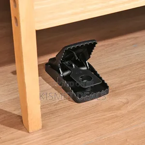 Reusable Rat Trap