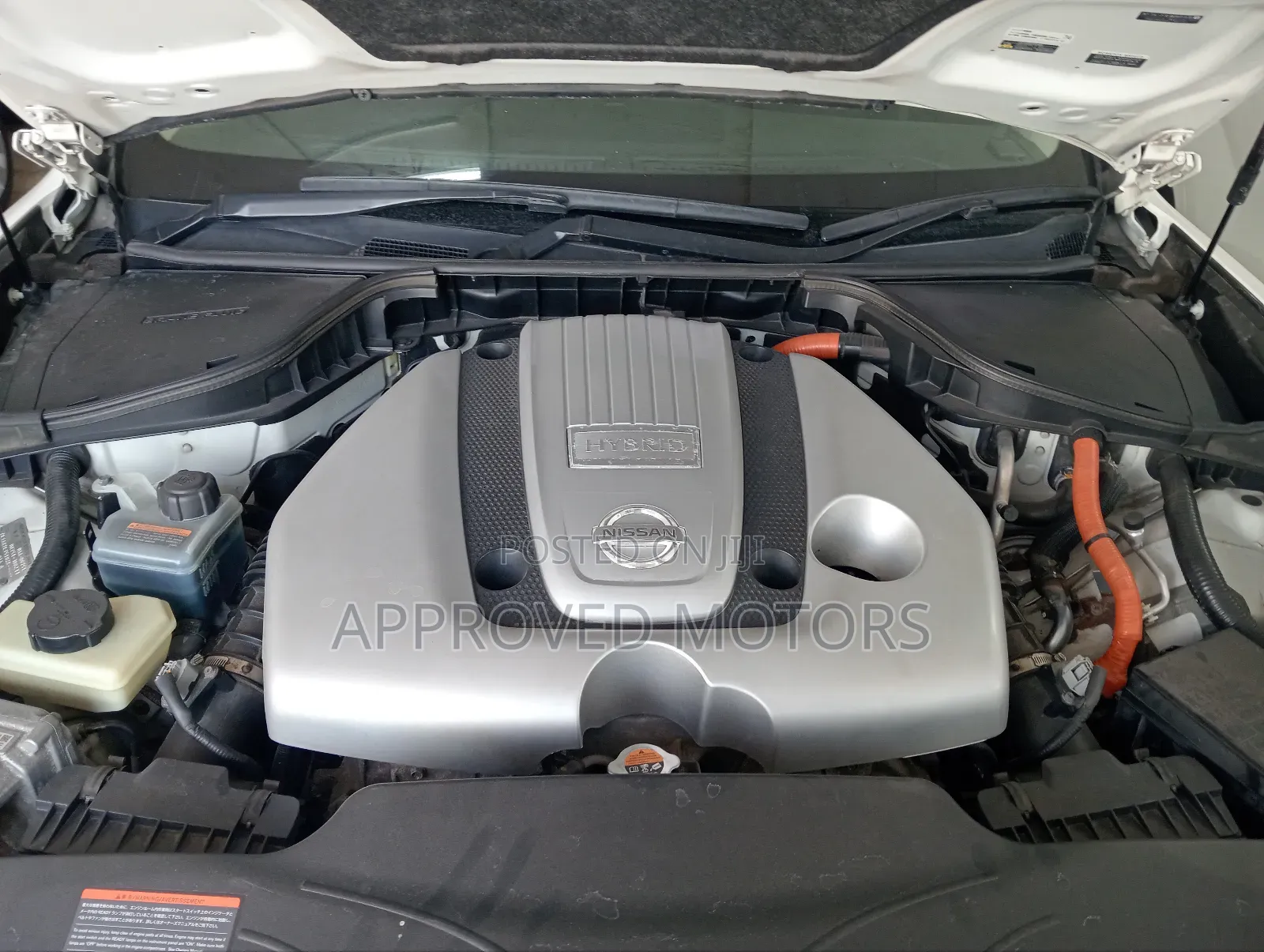 Nissan Cima 2019 White