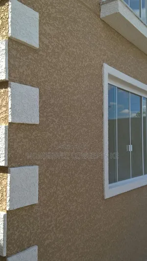 Skimming Exterior Interior Painting Paintwork Wall Master