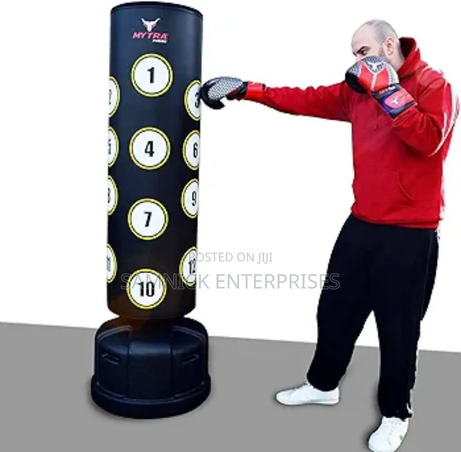 Stand Alone Punching Bag
