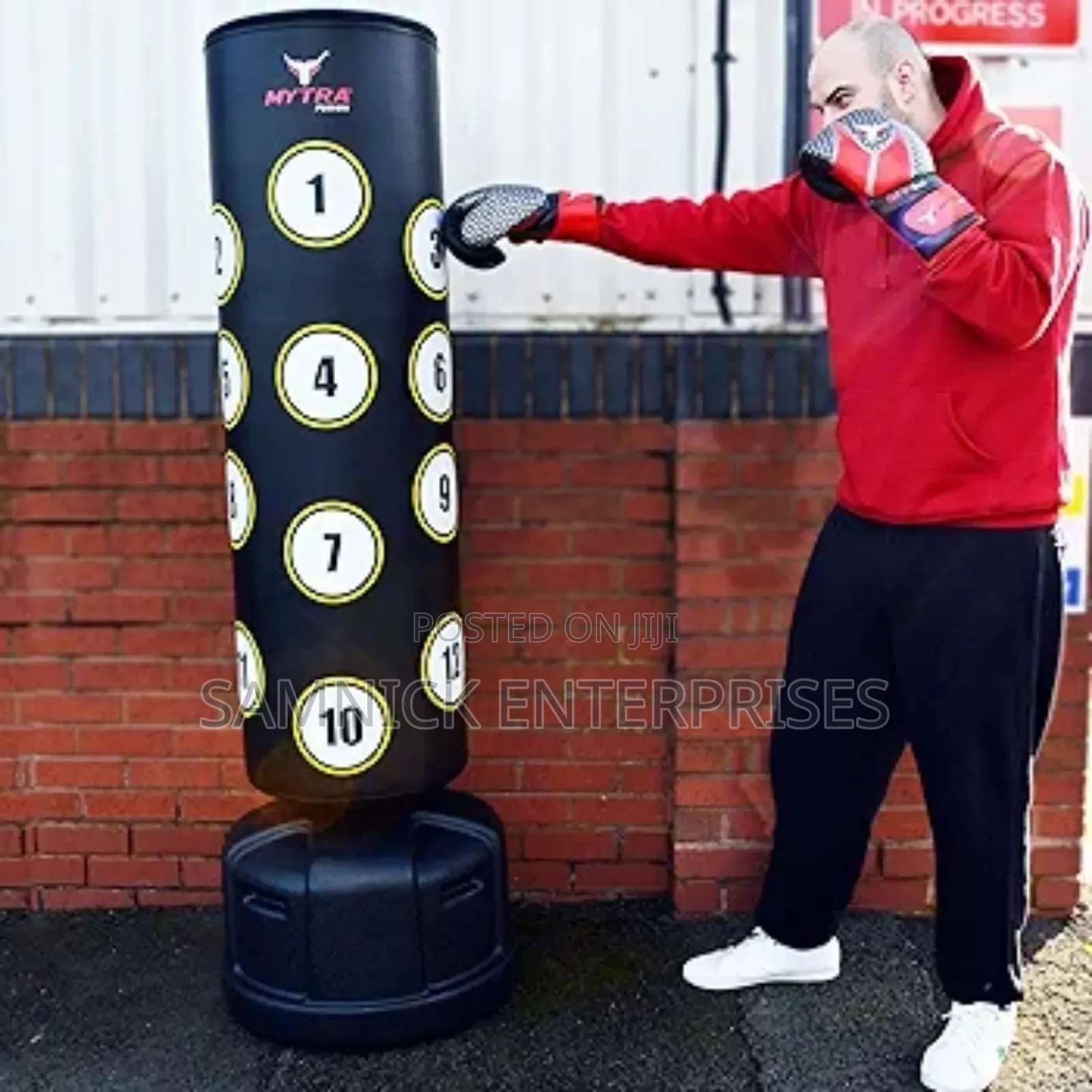 Stand Alone Punching Bag