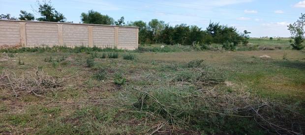 50 By 100 Plot At - main view