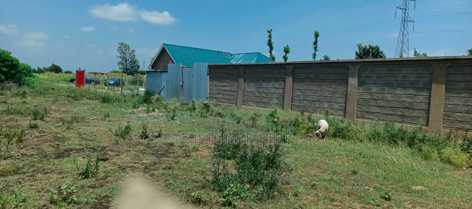 50 By 100 Plot At
