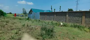 50 By 100 Plot At