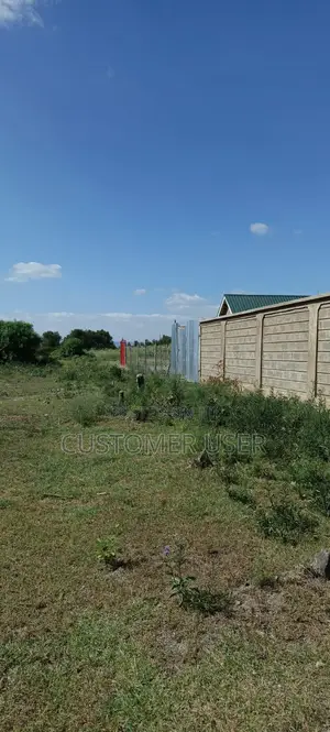 50 By 100 Plot At