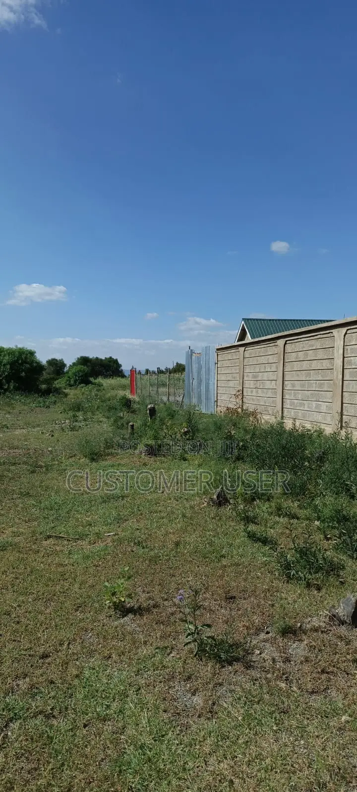 50 By 100 Plot At