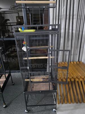 Grey Parrot Cage - thumbnail 2