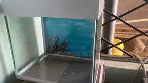 Small Aquarium