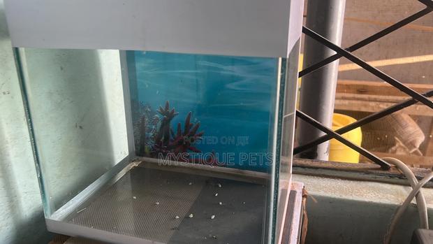 Small Aquarium - main view