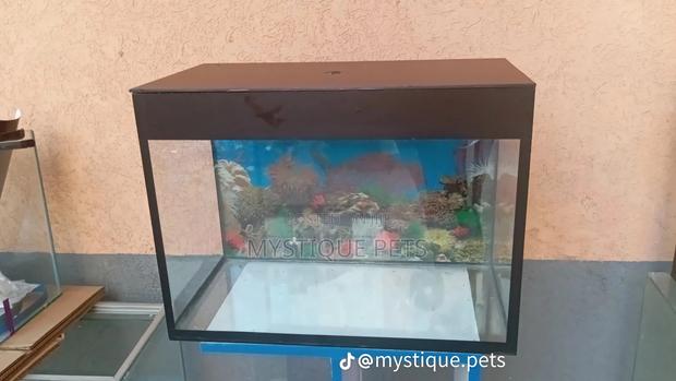 15 Inches Aquarium - main view