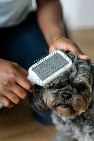 Slicker Brushes