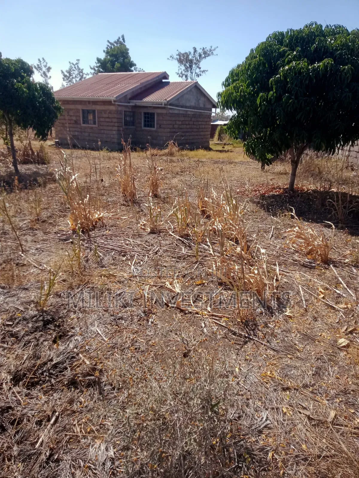 An Acre With House on Sale at Malaa.